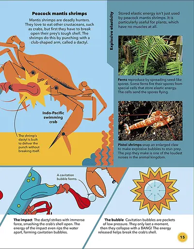 Wild Scientists - фото 3