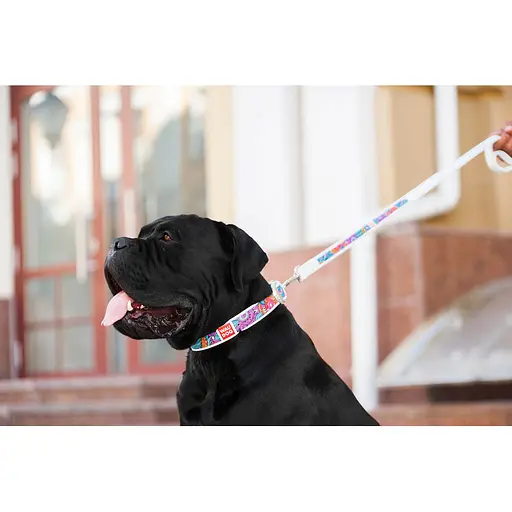 Ошейник для собак кожаный Waudog Design с QR-паспортом "Лето" XL Ш 35 мм Д 46-59 см белый - фото 7