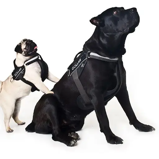 Шлея Dog Extreme "Police" №2 (В:40-60см), чорний - фото 5