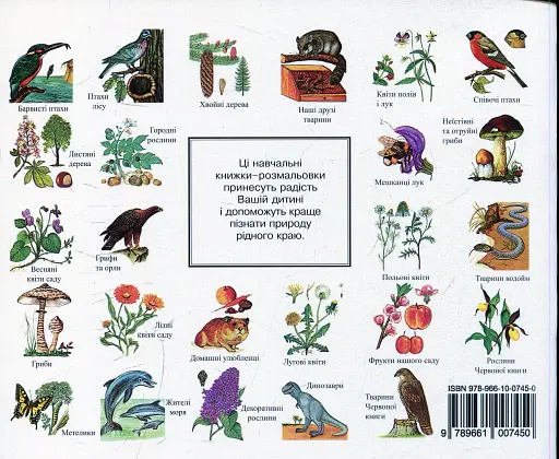 Листяні дерева. Навчальна книжка-розмальовка - фото 2