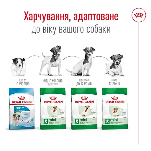 Сухий корм для дорослих собак Royal Canin Mini Adult з м'ясом птиці 8 кг - фото 5