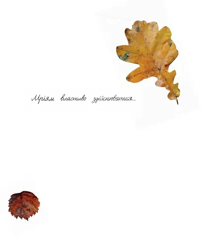 Книга Про що мріють листочки. Автор - Оксана Драчковська, Христина Лукащук (Yakaboo) - фото 4