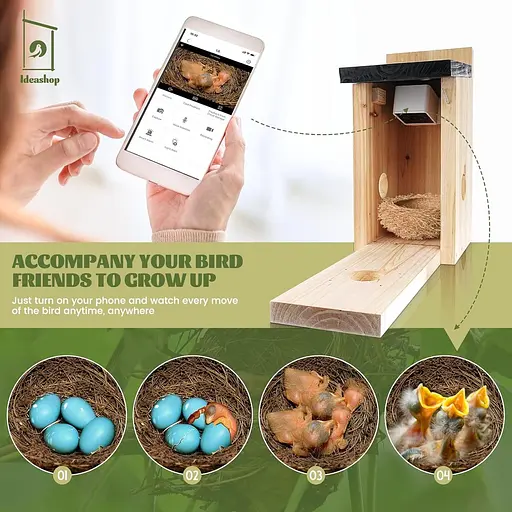 Ideashop Смарт шпаківня з бездротовою камерою 3MP, 13" H підвісний дерев'яний пташиний будиночок для вулиці, зовнішня камера - фото 6