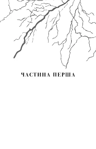 Майкл Вей. В'язень Камери №25. Книга 1 - фото 4