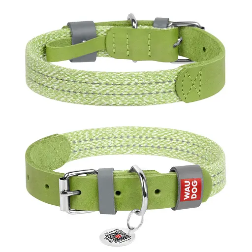 Ошейник для собак из кожи и восстановленного хлопка Waudog Classic L Ш 25 мм Д 38-49 см салатовый