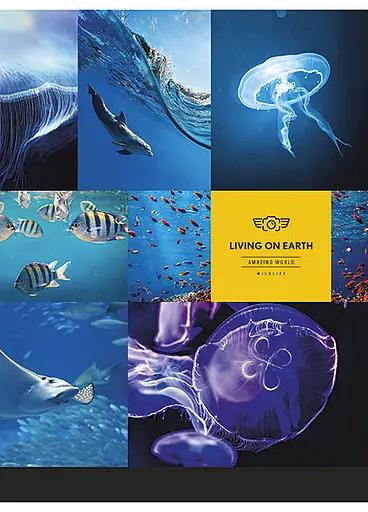 Комплект 4 шт загальних зошитів. Зошит Школярик А5 80 арк. у лінію 5057 4823088207736 - фото 5