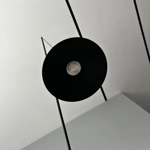 Торшер Skarlat RLL8110 2×10W BK 3000K - фото 3