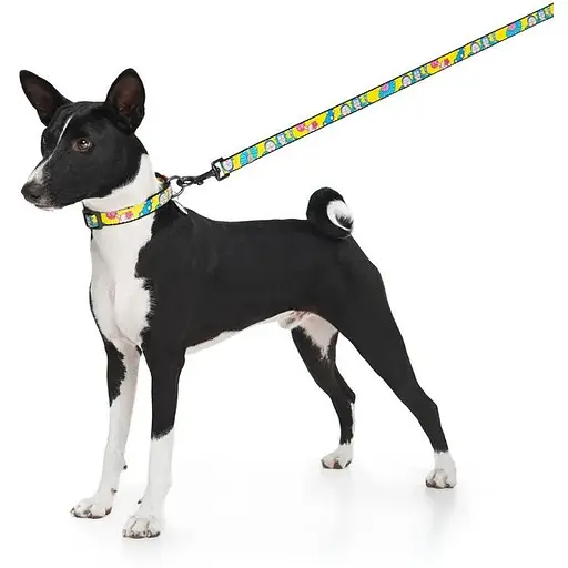 Поводок для собак Waudog Nylon нейлоновый, рисунок "Год и Морти 1", L-XXL - фото 7