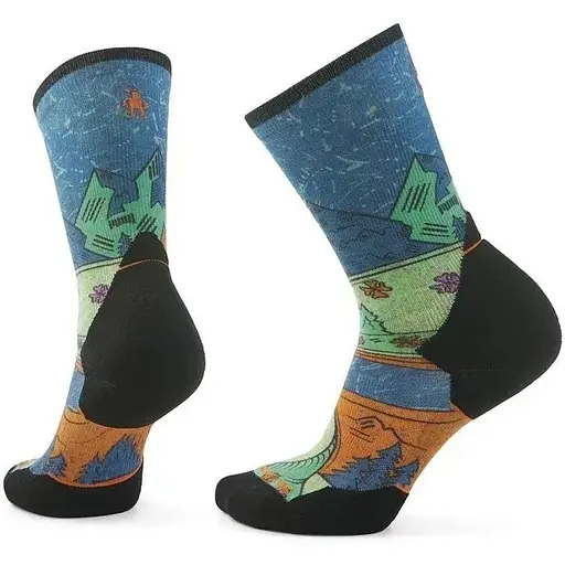 Шкарпетки Smartwool Women's Trail Run Targeted Cushion Mountain Print Crew S Twilight Blue Smart Wool (1033-SW SW002698.G74-S)
