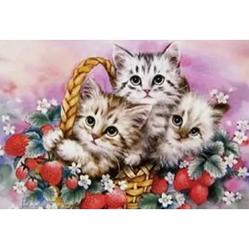 Алмазна мозаїка зі стразами на підрамнику Кошенята 20*30 см - фото 1