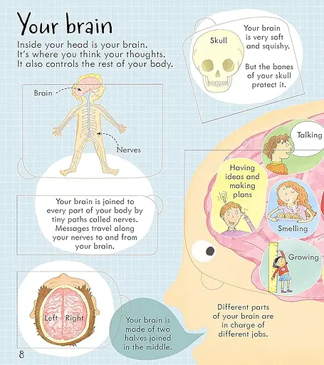 Look Inside Your Body - фото 2