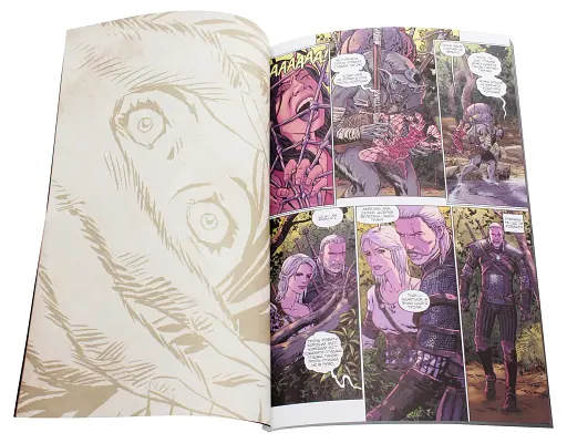 Відьмак. Прокляття Воронів - фото 2