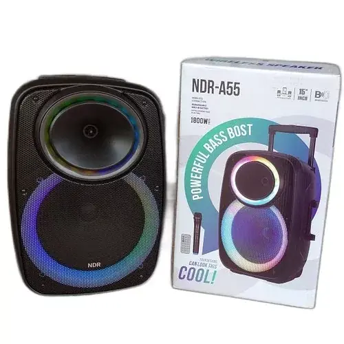 Профессиональная Bluetooth колонкa NDR-A55 15-дюймовая с беспроводным микрофоном - фото 4