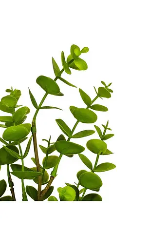 Штучна гілка "Евкаліпт", 61 см Elisey   - фото 3