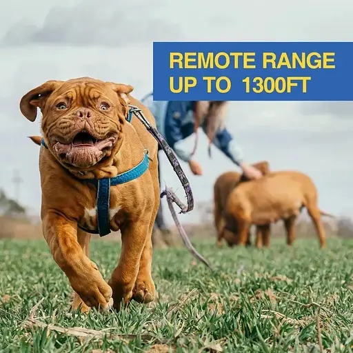 Електронний нашийник для середніх собак дресирувальний з 3-ма видами впливу Dobe DB900S білий - фото 6