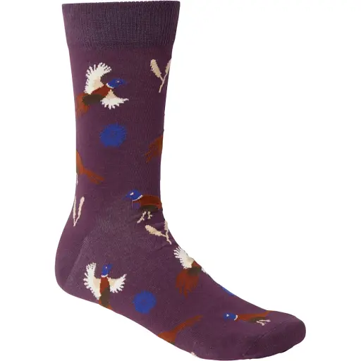 Носки Chevalier Pomeroy 43/45 Purple - фото 1