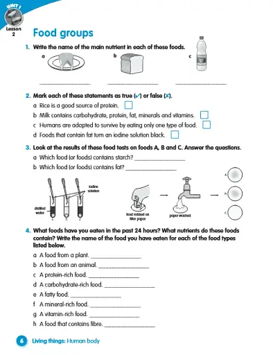 Macmillan Science. Level 5. Workbook - фото 4
