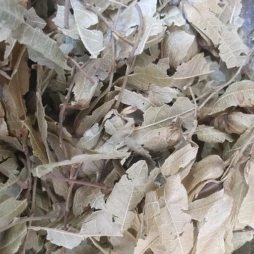 100 г граб жіночий лист сушений - свіжий урожай