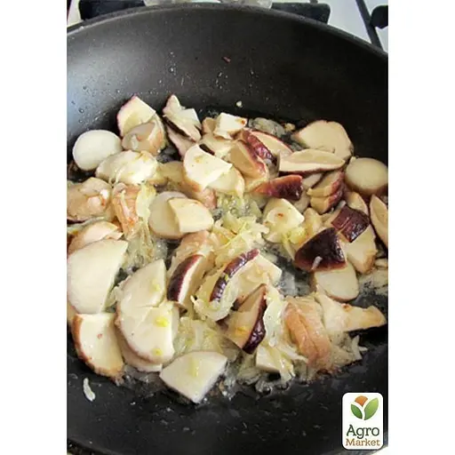 Міцелій на дубових брусочках "Глива біла" 10шт (45233) - фото 2