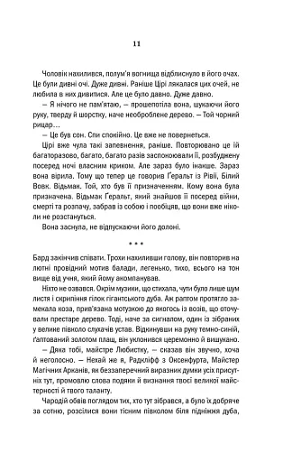 Відьмак. Кров Ельфів. Книга 3 - фото 7