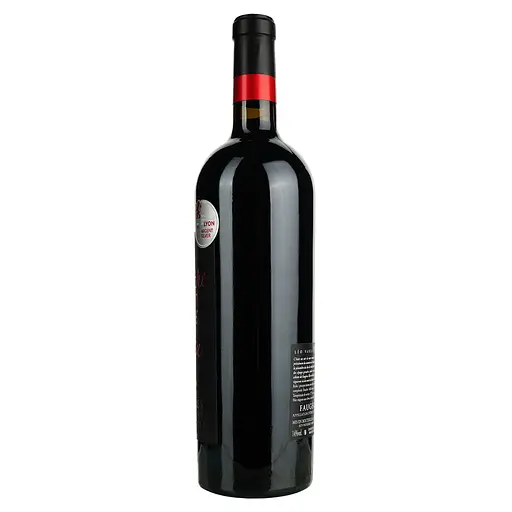 Вино Tonnerre De Dieu Rouge 2019 AOP Faugeres, красное, сухое, 0,75 л - фото 2
