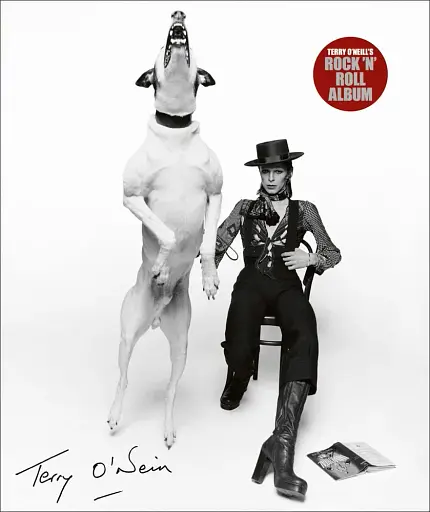 Terry O'Neill's Rock 'N' Roll Album