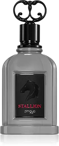 Парфумована вода Zimaya Stallion 100 мл