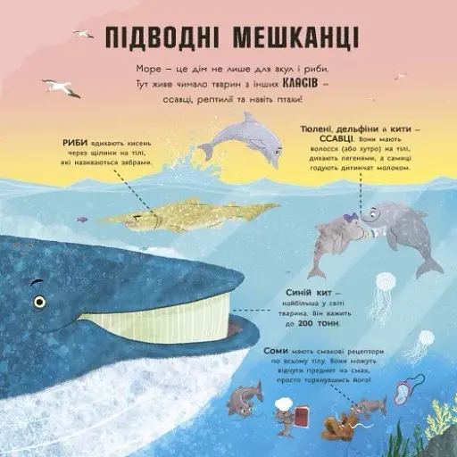 Супернаука для дошкільнят. Акули люблять науку - фото 4