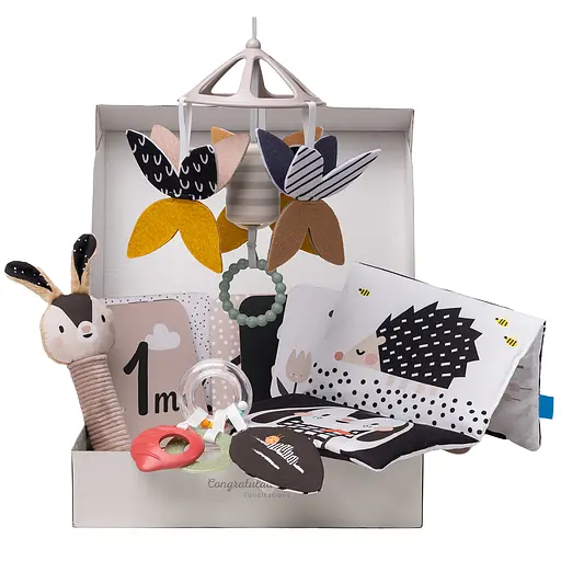 Подарочный набор игрушек для новорожденного Taf Toys Черно-белая гармония (13475) - фото 1