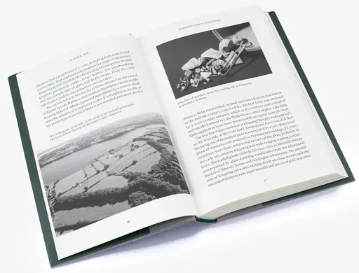 The Viking Great Army and the Making of England - фото 6