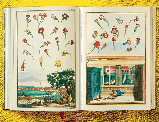 J. C. Volkamer. The Book of Citrus Fruits - фото 8