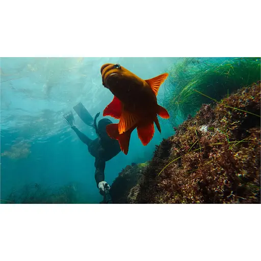 Монопод GoPro Extension Pole with Bluetooth Shutter Remote Black (AGXTS-002) [136751] - фото 10