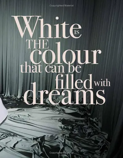 The White Book: Fashion, Styles & Stories - фото 2