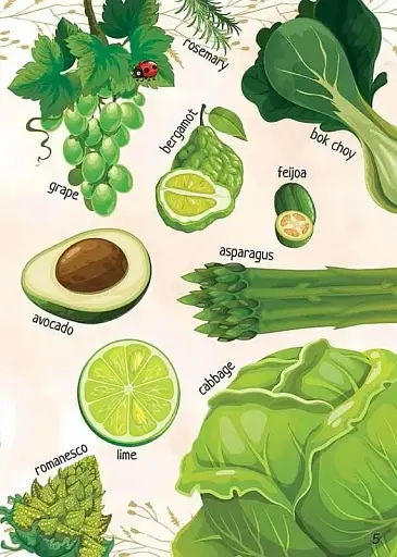 Дитячий простір : Мої улюблені фрукти та овочі / My favorite vegetables and fruits (Українська ) - фото 5