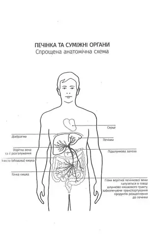 Внутрішня історія. Приховані сили вашої печінки - фото 5