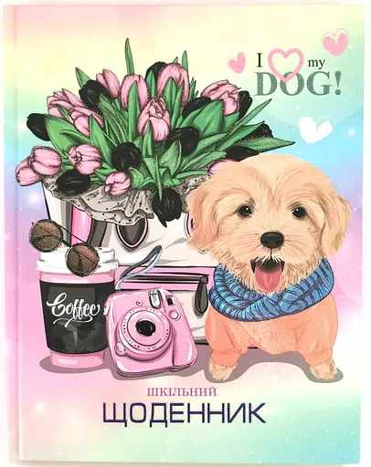 Щоденник шкільний, 165x208 мм, обкладинка 7БЦ, 40 аркушів, SD1727