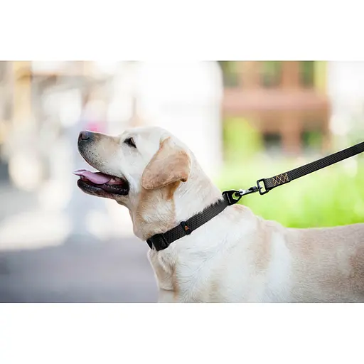 Поводок "Эволютор" (ширина 25 мм длина 210 см) черный - фото 7