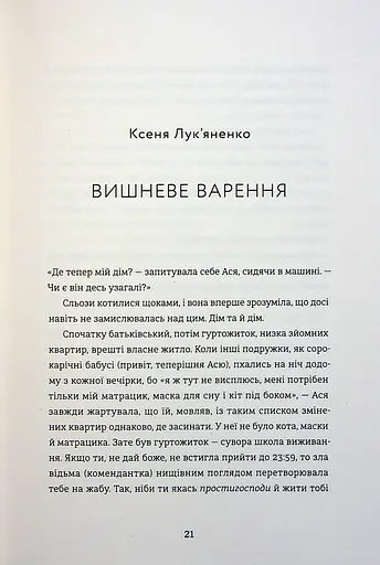 Я не знаю, як про це писати. Збірка оповідань та есеїв - фото 17