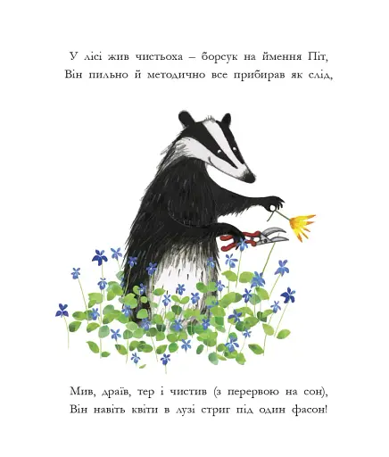 Чистьоха - фото 2