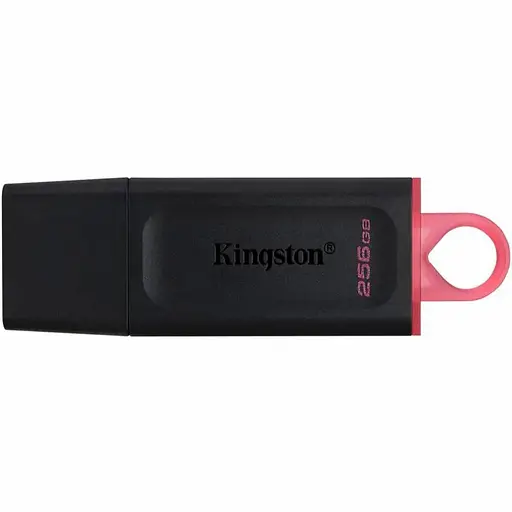 Флешка Kingston 256 GB DataTraveler Exodia (DTX/256GB)