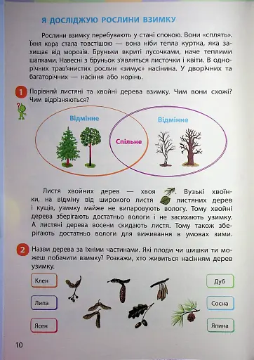 Я досліджую світ. Підручник інтегрованого курсу для 2 класу. Частина 2 - фото 9