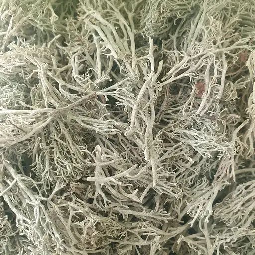 100 г ягель/олений мох сушеный - свежий урожай