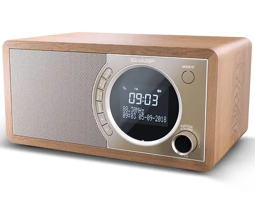 Портативна акустика Sharp DR-450(BR) (DR-450(BR)) - фото 1