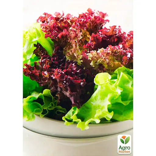 Салат "Суміш кращих популярних сортів" ТМ "Весна"  5г (45527) - фото 2