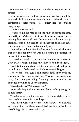 The Travelling Cat Chronicles - фото 5