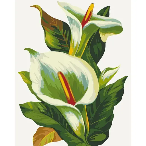 Набір для розпису ArtCraft Білі калли 40 x 50 см (13128-AC)