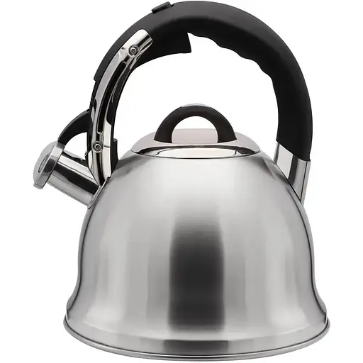 Чайник Zauberg 3.5 л серебристый (000030810) - фото 1