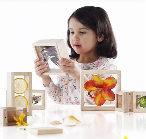 Набор Guidecraft Natural Play Сокровища в прозрачных ящиках G3084 - фото 3