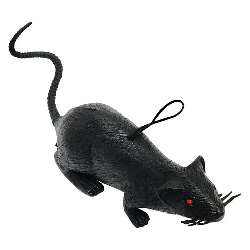 Прикол Крыса - фото 1