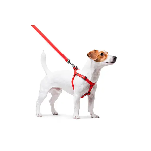 Шлея для собак водостійка Waudog Waterproof з QR-паспортом металічна пряжка-фастекс Ш 15 мм Д 40-55 см червоний - фото 6